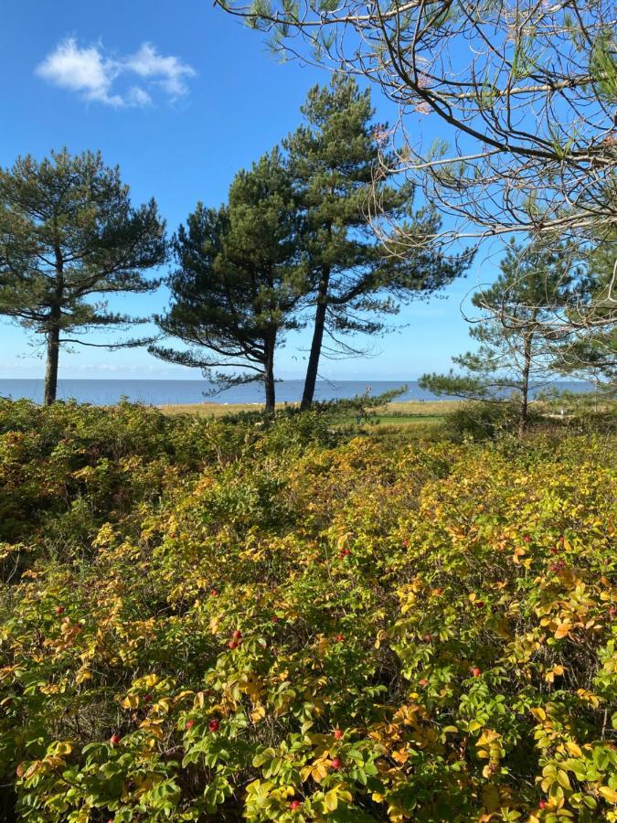 Altes Pastorenhus - Land Und * Osterbruch